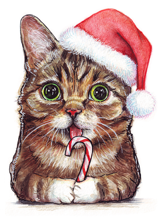 Christmas Kitten Transparent PNG Image