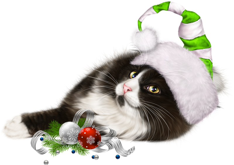 Christmas Kitten Transparent PNG Image
