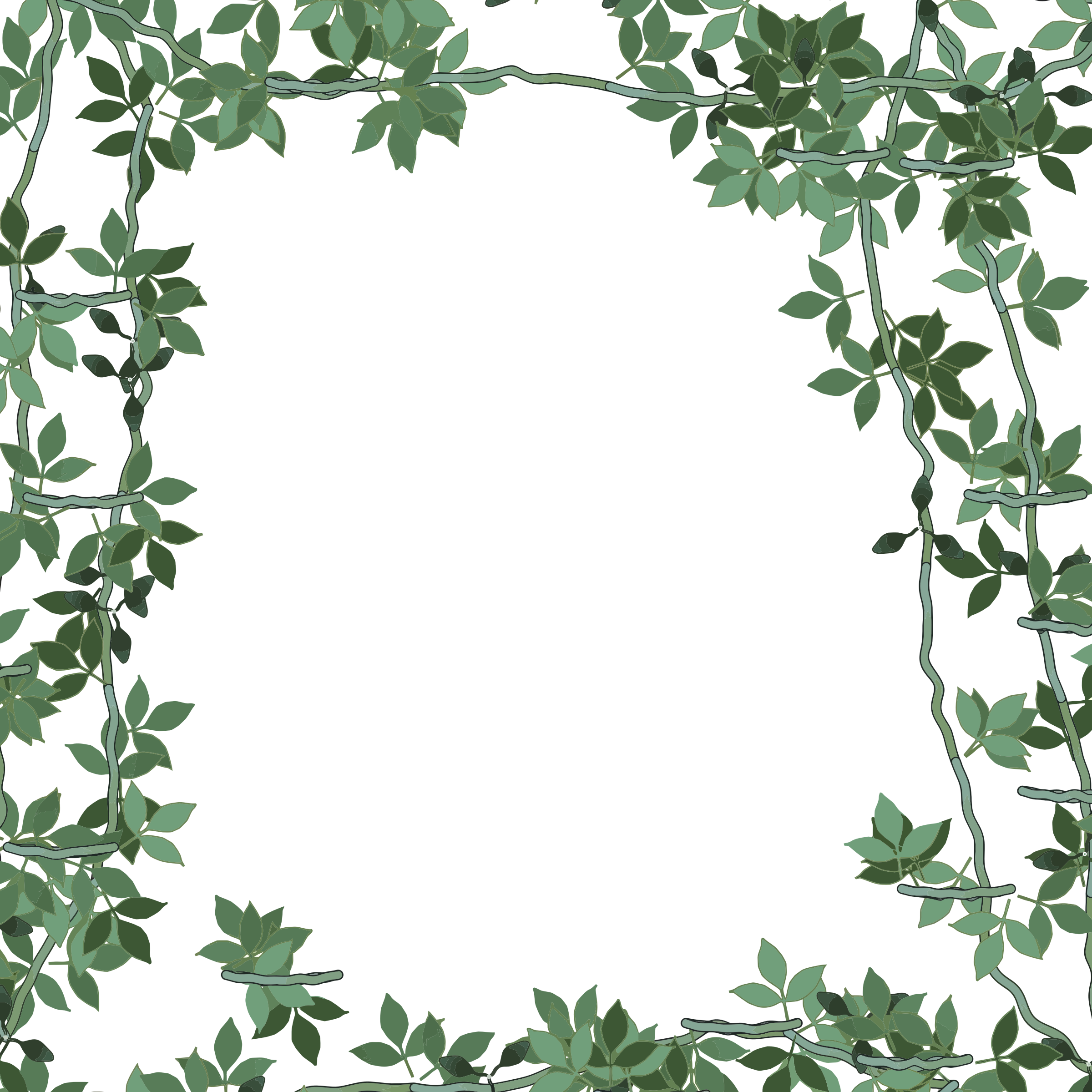 Frame Green Christmas Transparent PNG Image