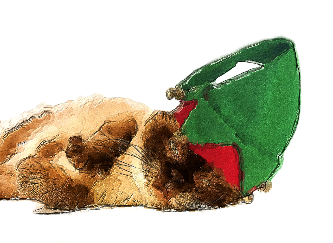 Christmas Kitten Transparent PNG Image