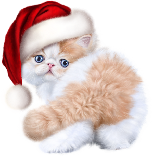 Christmas Kitten Transparent PNG Image