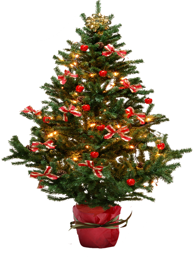 Fir Tree Christmas Transparent PNG Image
