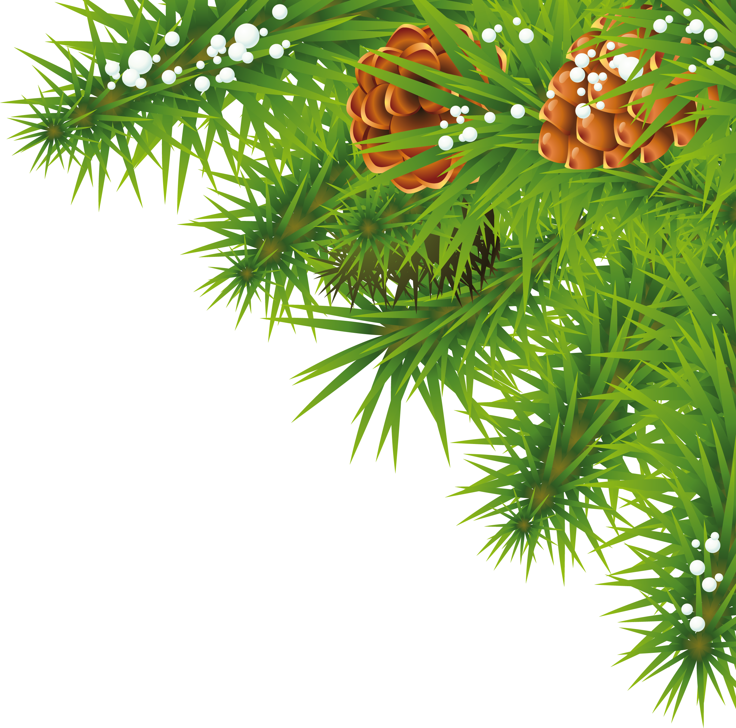 Fir Tree Christmas Transparent PNG Image