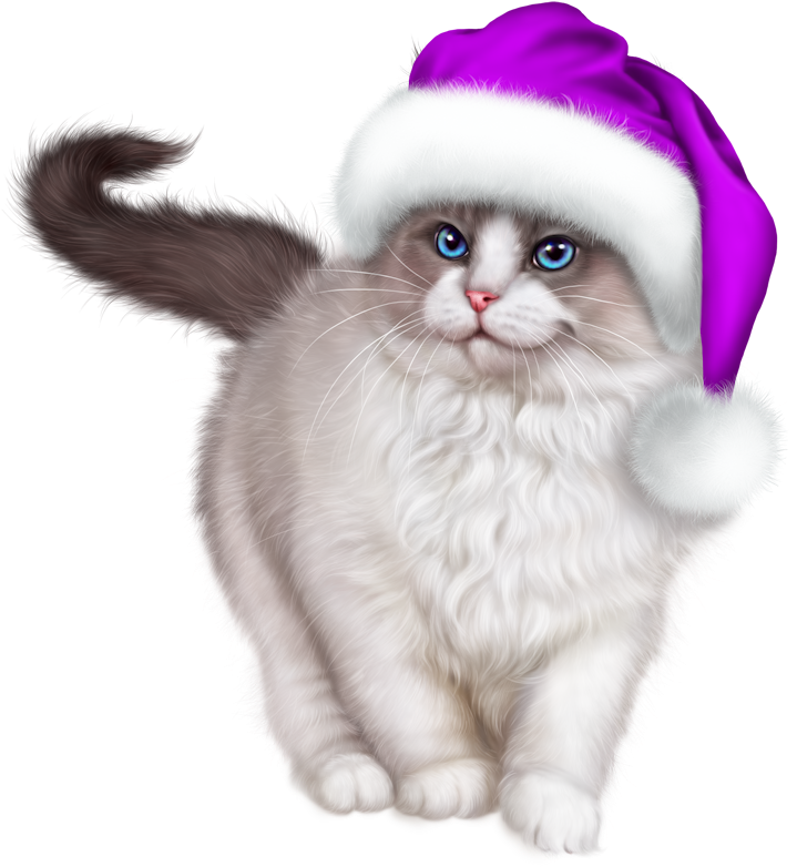Christmas Cat Transparent PNG Image