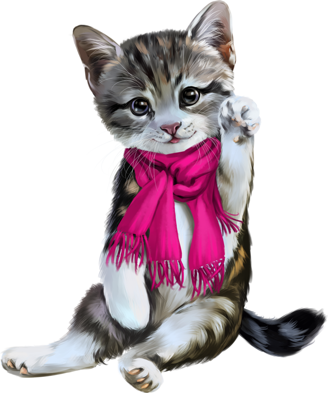 Christmas Cat Transparent PNG Image