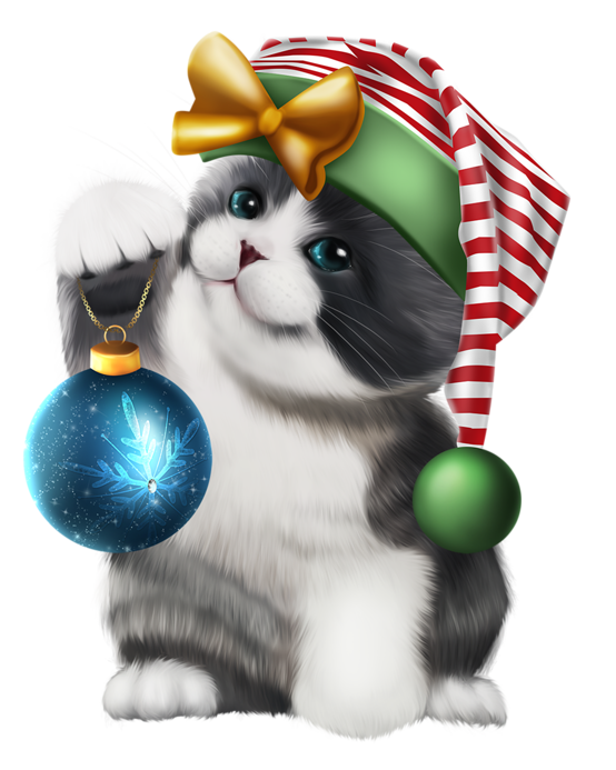 Christmas Cat Transparent PNG Image