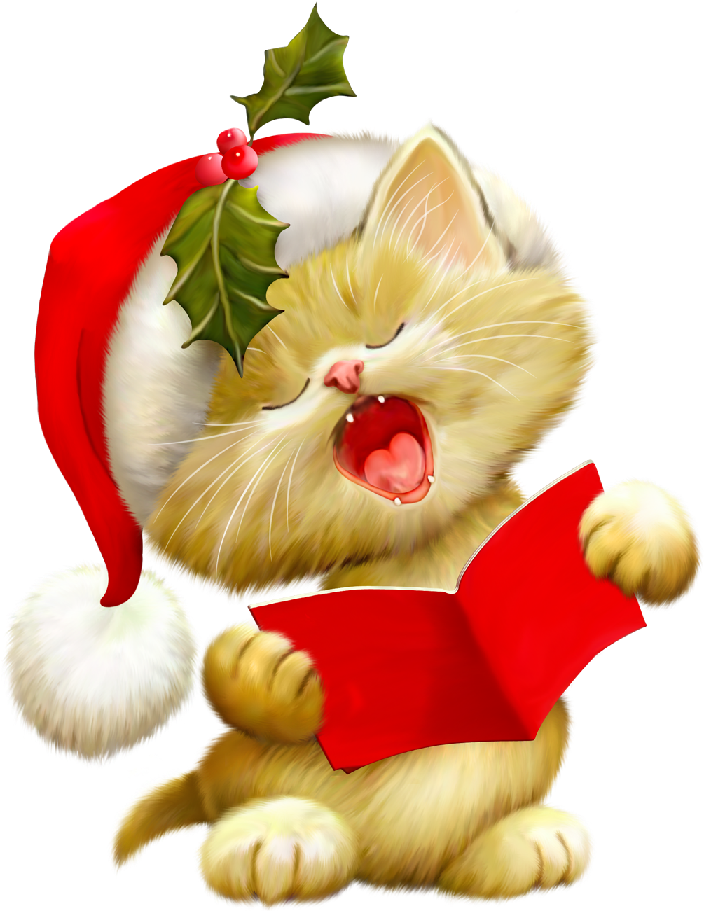 Pic Christmas Cat Transparent PNG Image