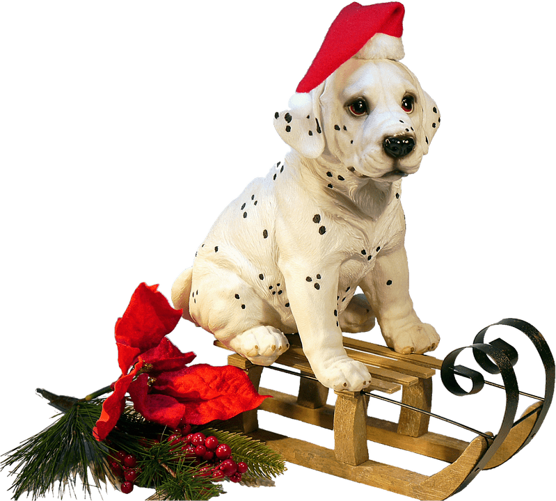 Real Christmas Animal Transparent PNG Image