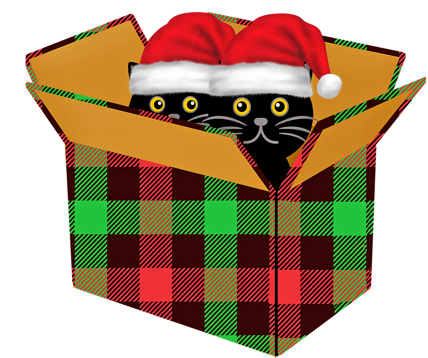 Christmas Cat Transparent PNG Image