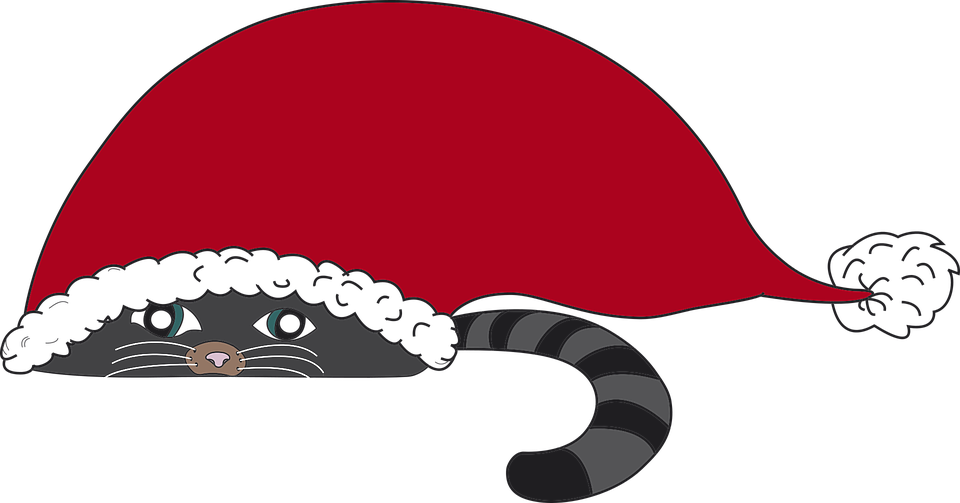 Christmas Cat Transparent PNG Image