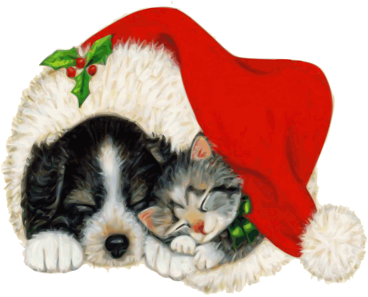 Real Christmas Animal Transparent PNG Image