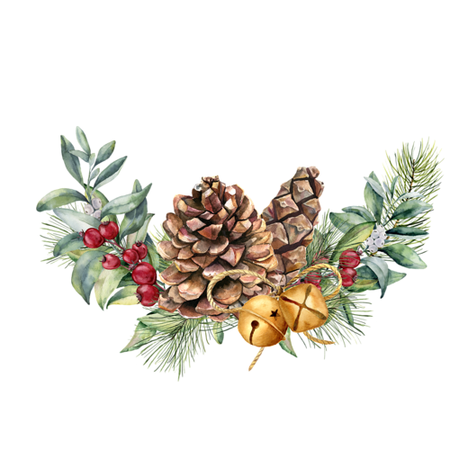 Christmas Pine Cone Transparent PNG Image