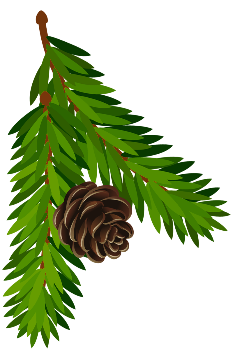 Christmas Pine Cone Transparent PNG Image