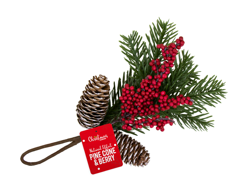 Christmas Pine Cone Transparent PNG Image