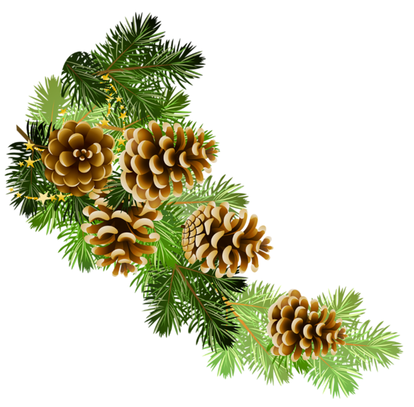 Christmas Pine Cone Transparent PNG Image