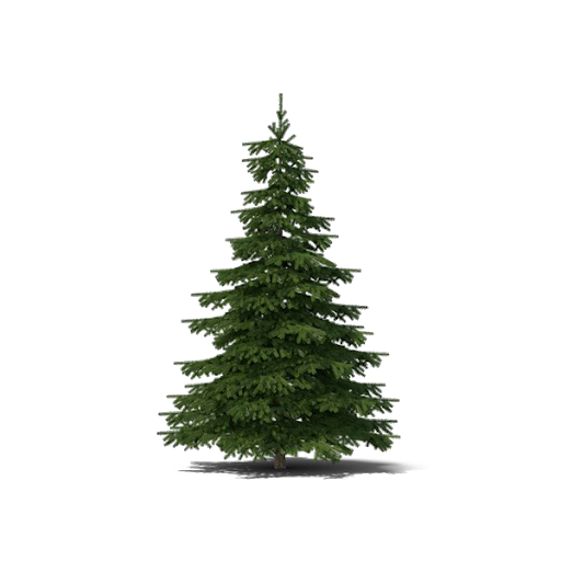 Small Fir-Tree Christmas Transparent PNG Image