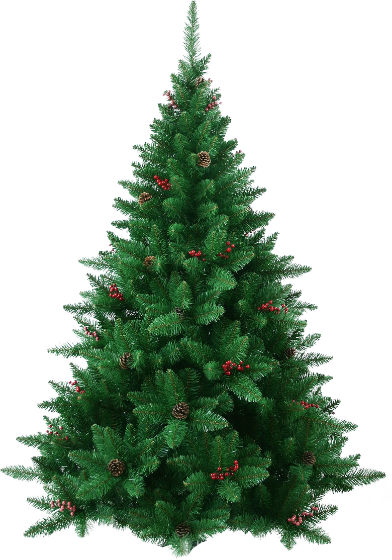 Fir-Tree Christmas Transparent PNG Image