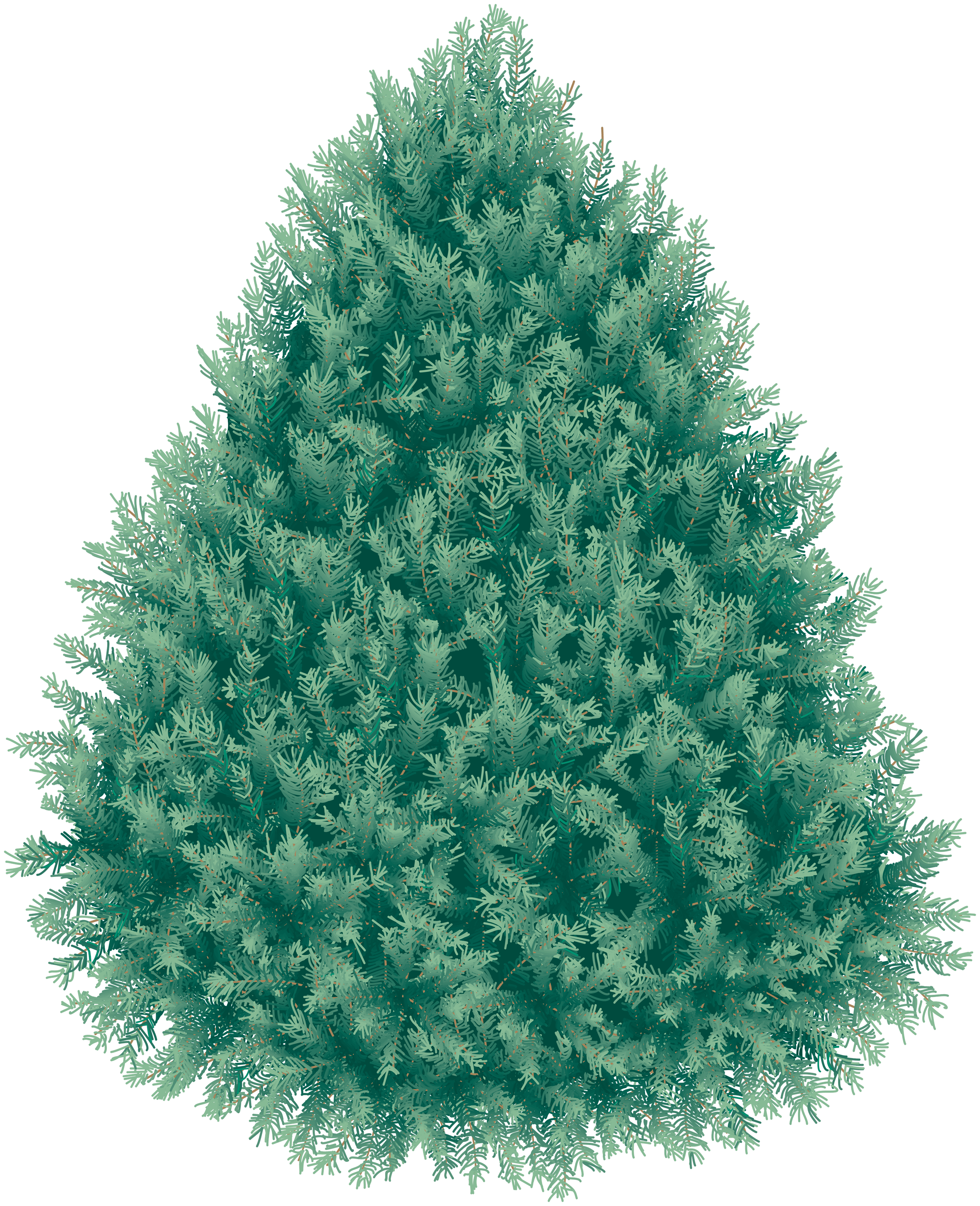 Real Fir-Tree Christmas Transparent PNG Image