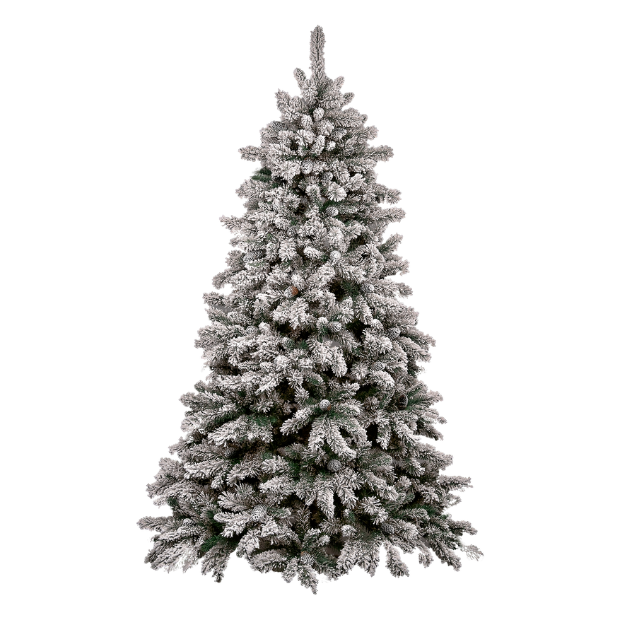 Fir-Tree Christmas Snow Transparent PNG Image