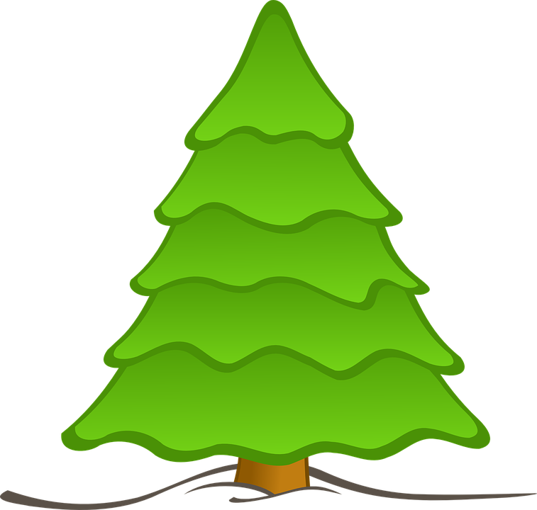 Christmas Nature Transparent PNG Image