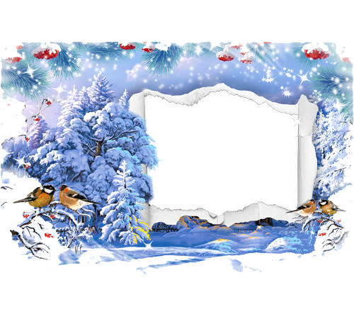 Christmas Nature Transparent PNG Image
