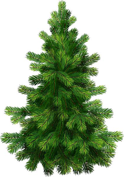 Christmas Nature Transparent PNG Image