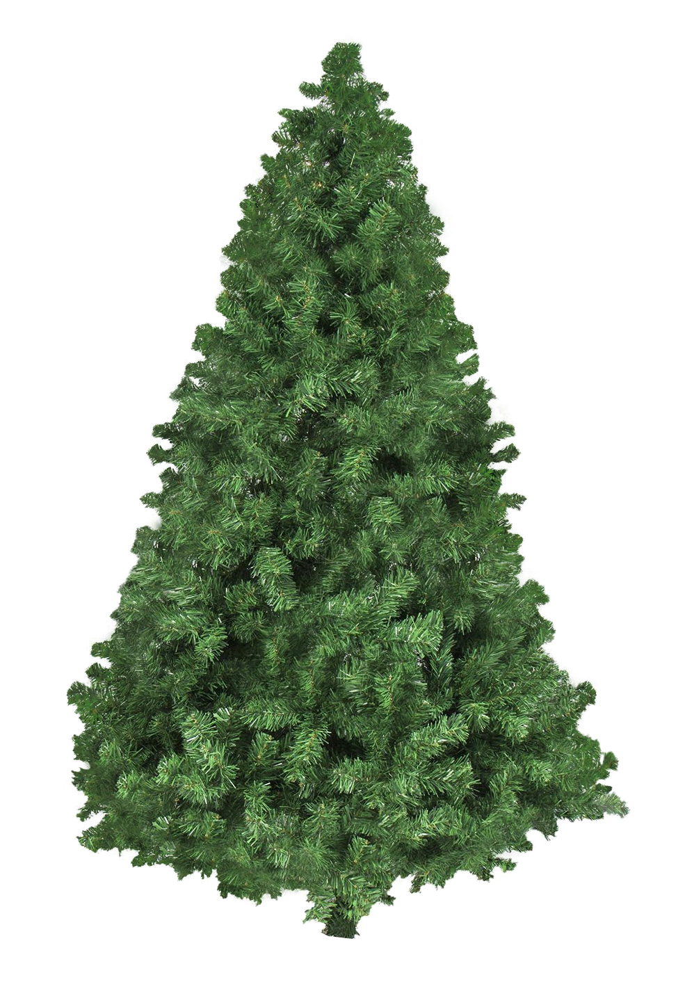 Christmas Nature Transparent PNG Image