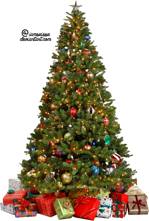 Christmas Tree Transparent PNG Image