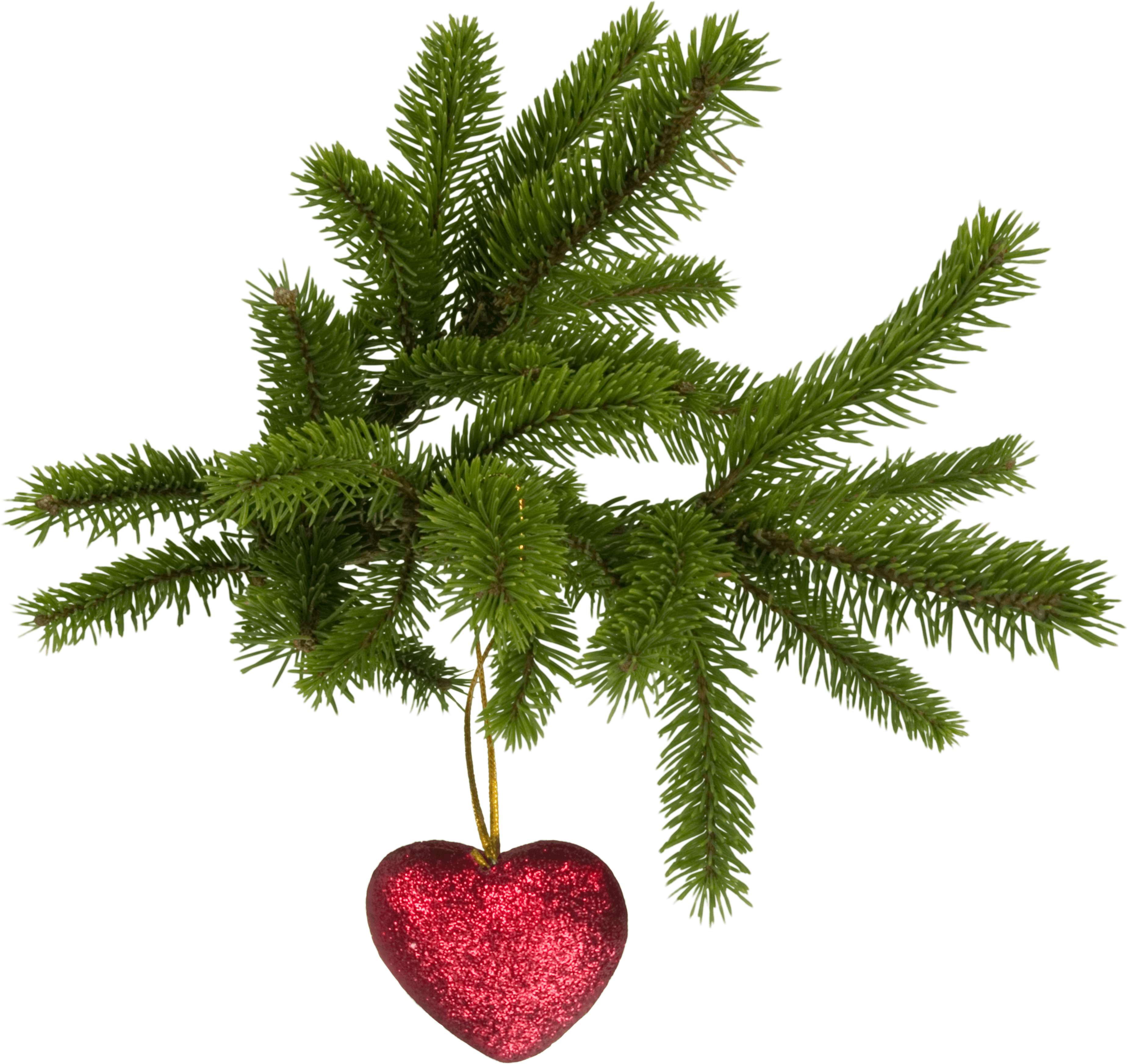 Christmas Transparent PNG Image