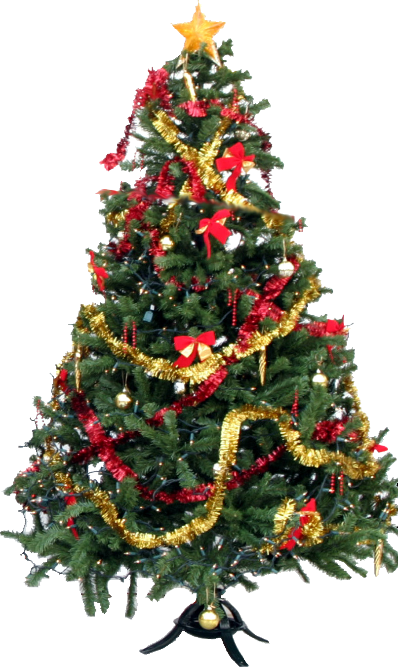Christmas Tree Transparent PNG Image