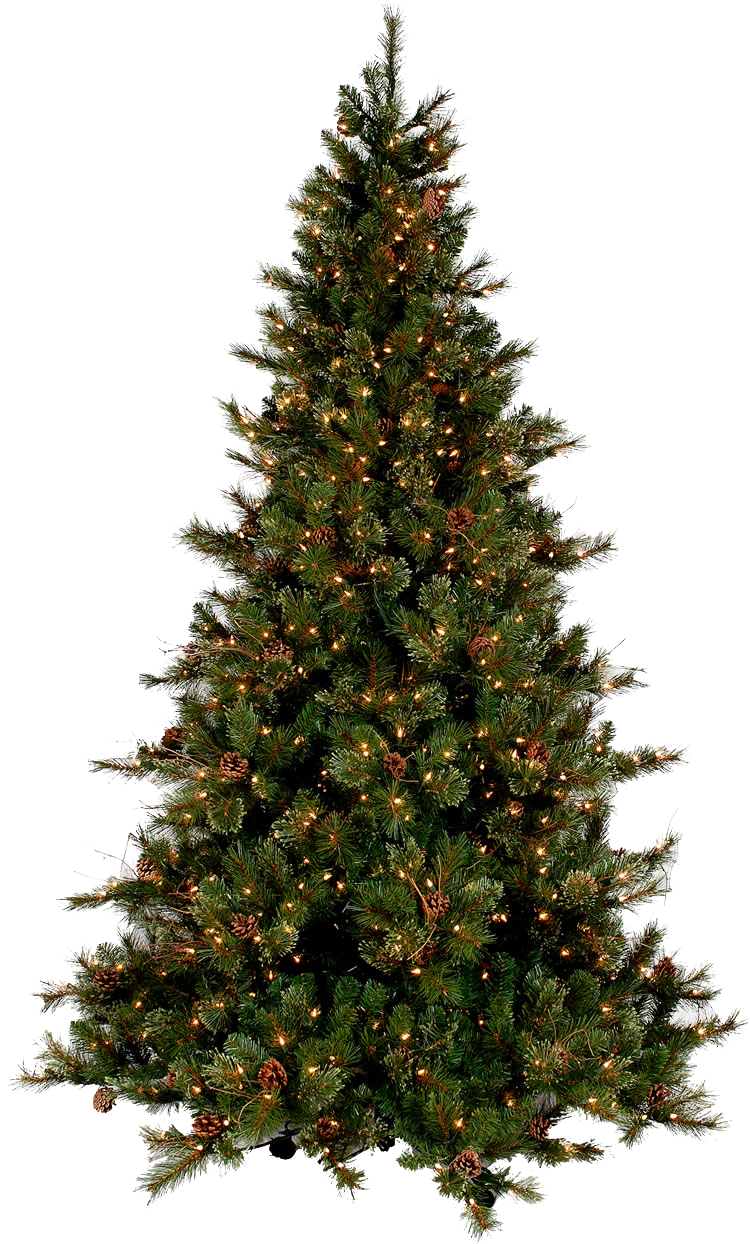 Christmas Tree Transparent PNG Image