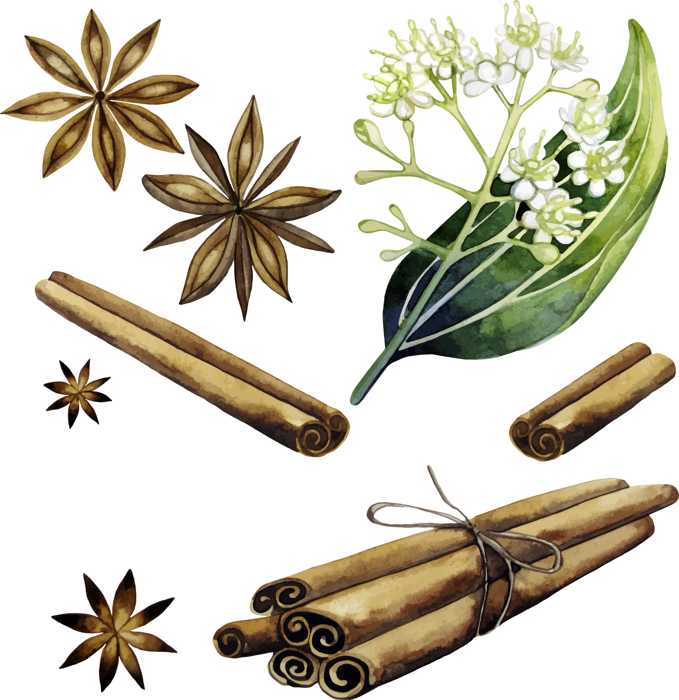 Cinnamon Transparent PNG Image