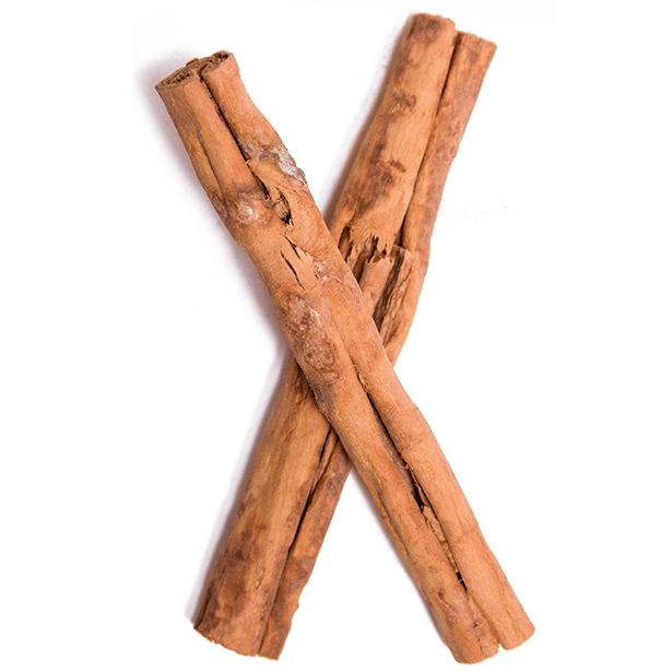 Cinnamon Stick Transparent PNG Image