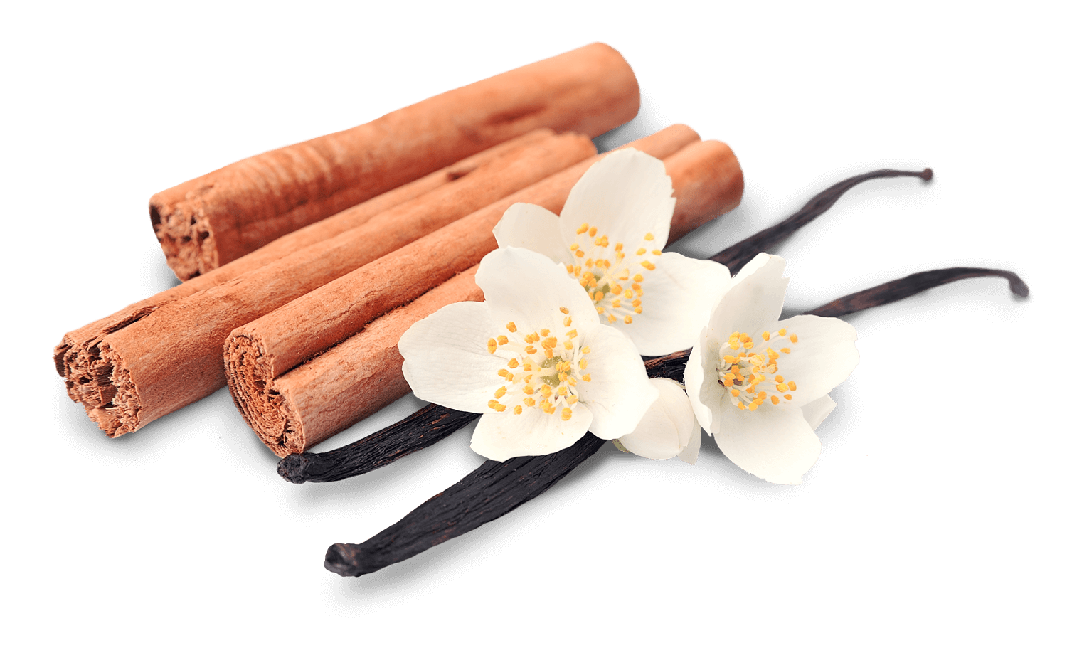 Cinnamon Stick Transparent PNG Image