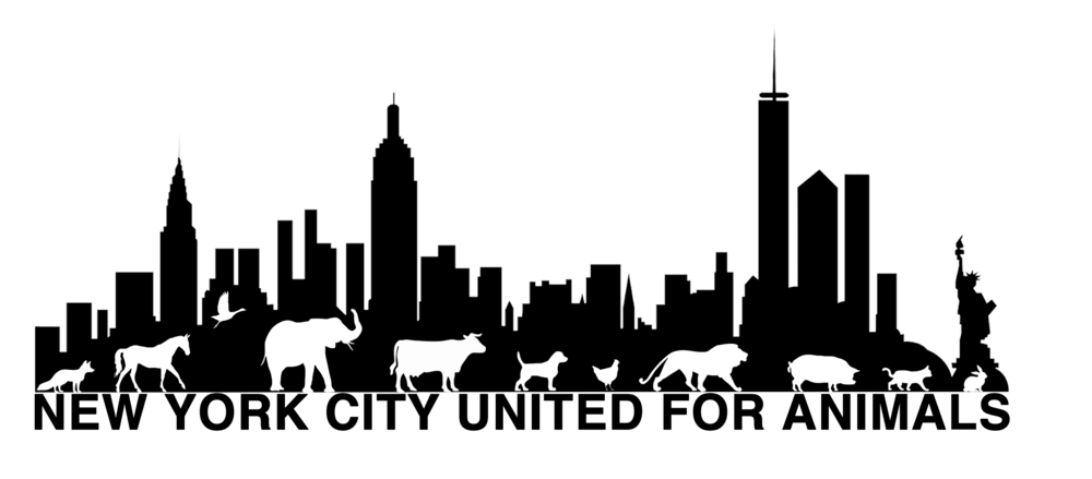 City Skyline York File Transparent PNG Image