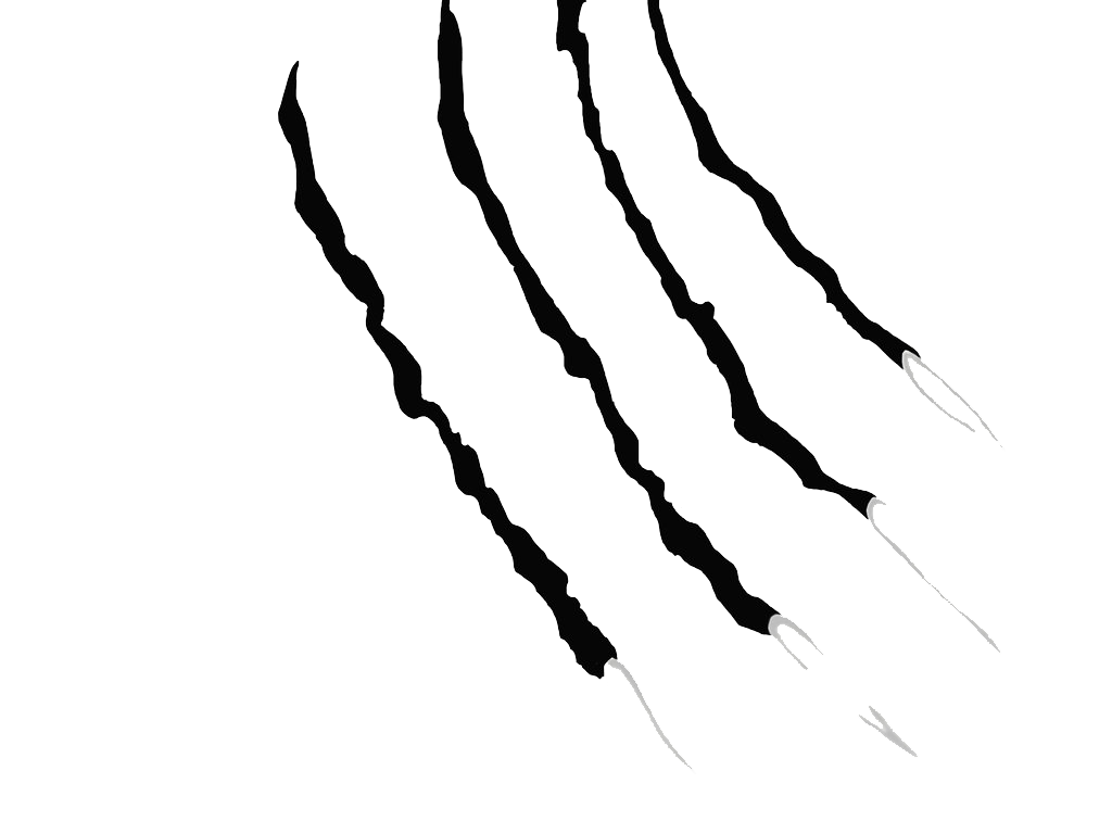 Claw Scratches Transparent PNG Image