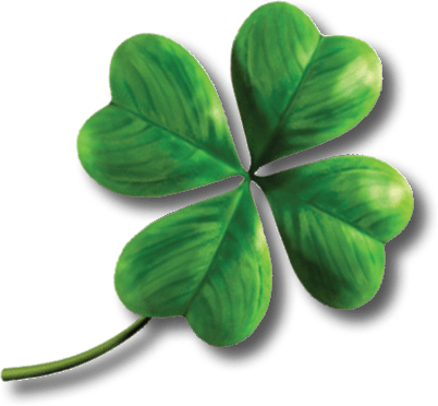 Clover Transparent PNG Image