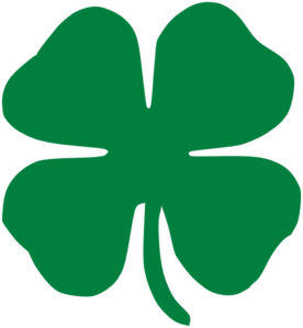 Clover Transparent PNG Image