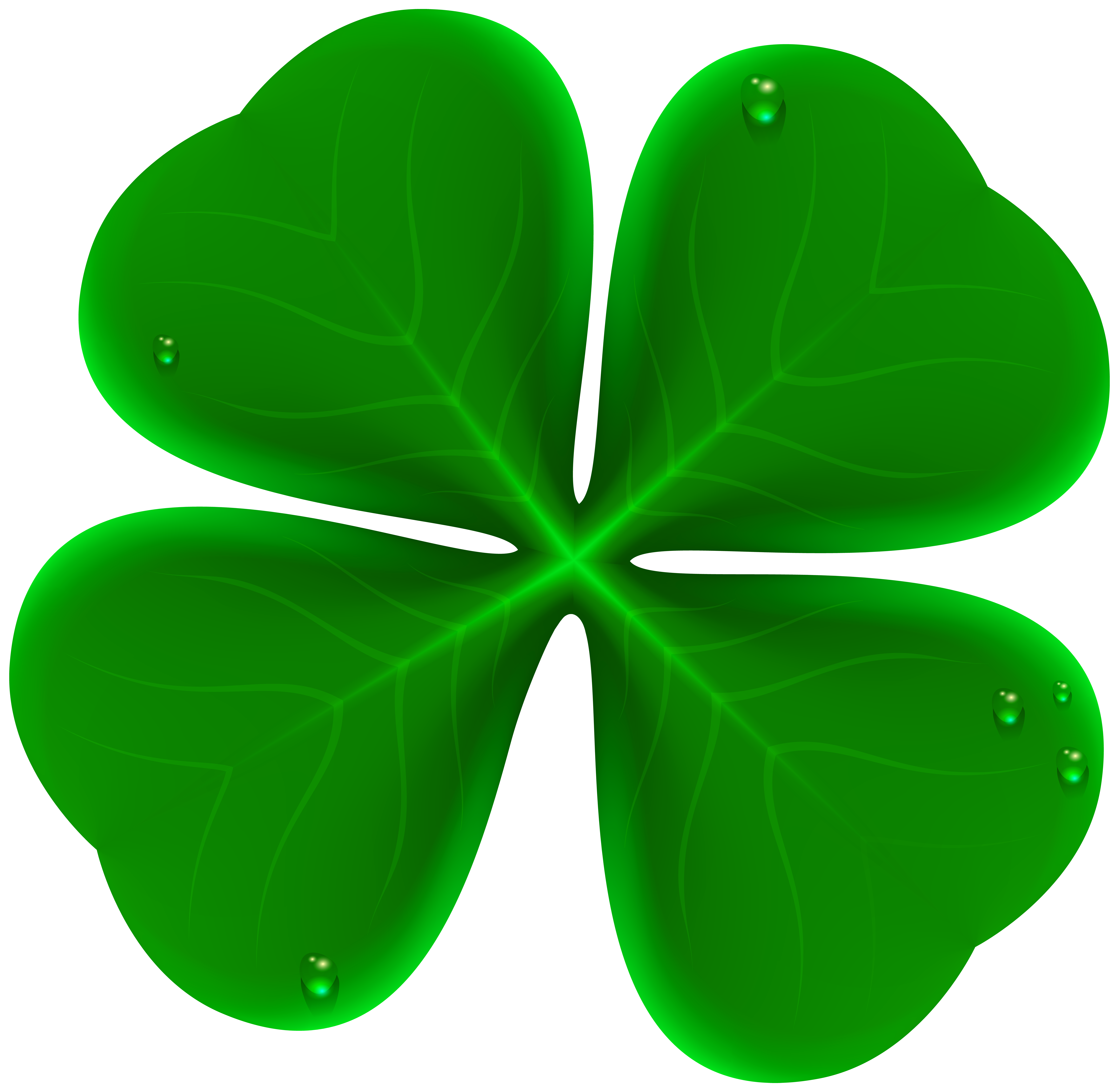 Shamrock Clover Symbol Leaf Fourleaf Transparent PNG Image