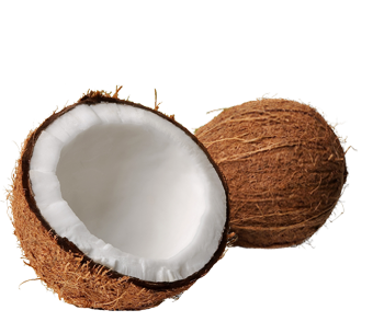 Coconut Transparent PNG Image