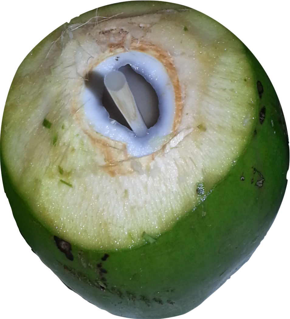 Fresh Coconut Green Transparent PNG Image
