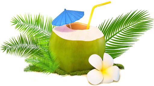 Fresh Coconut Green Transparent PNG Image