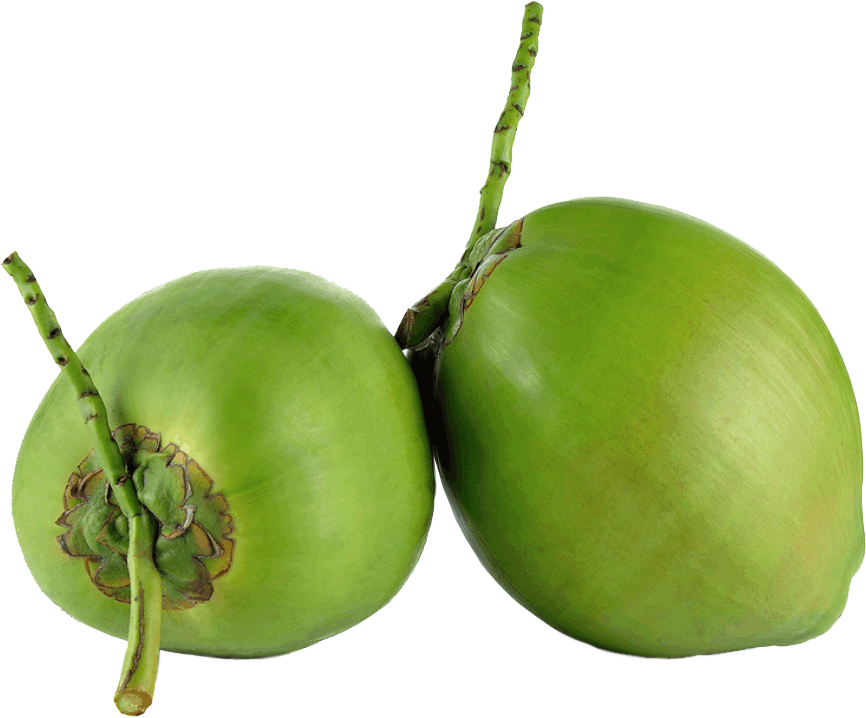 Fresh Coconut Green Transparent PNG Image