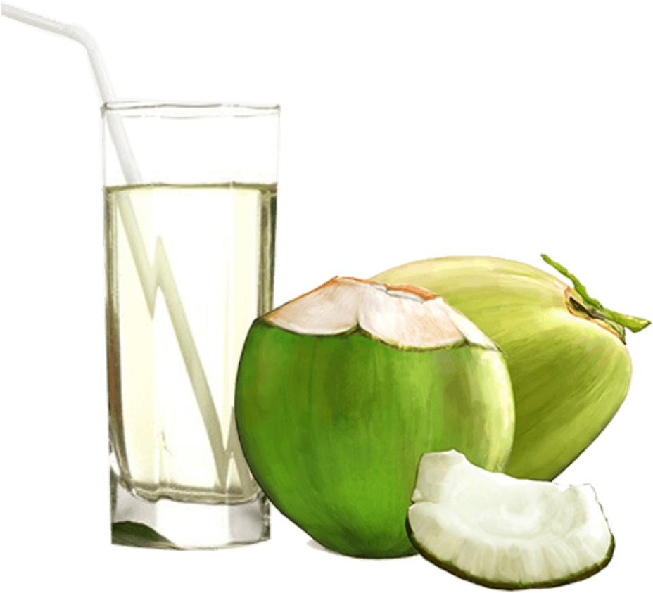 Fresh Coconut Green File Transparent PNG Image