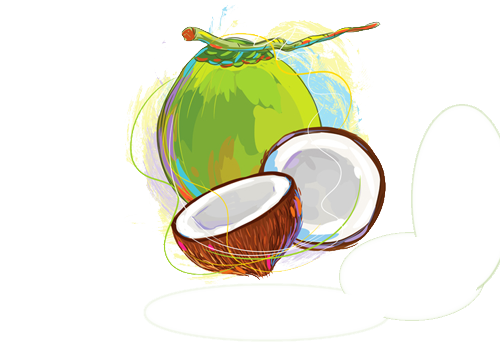 Fresh Coconut Green Transparent PNG Image