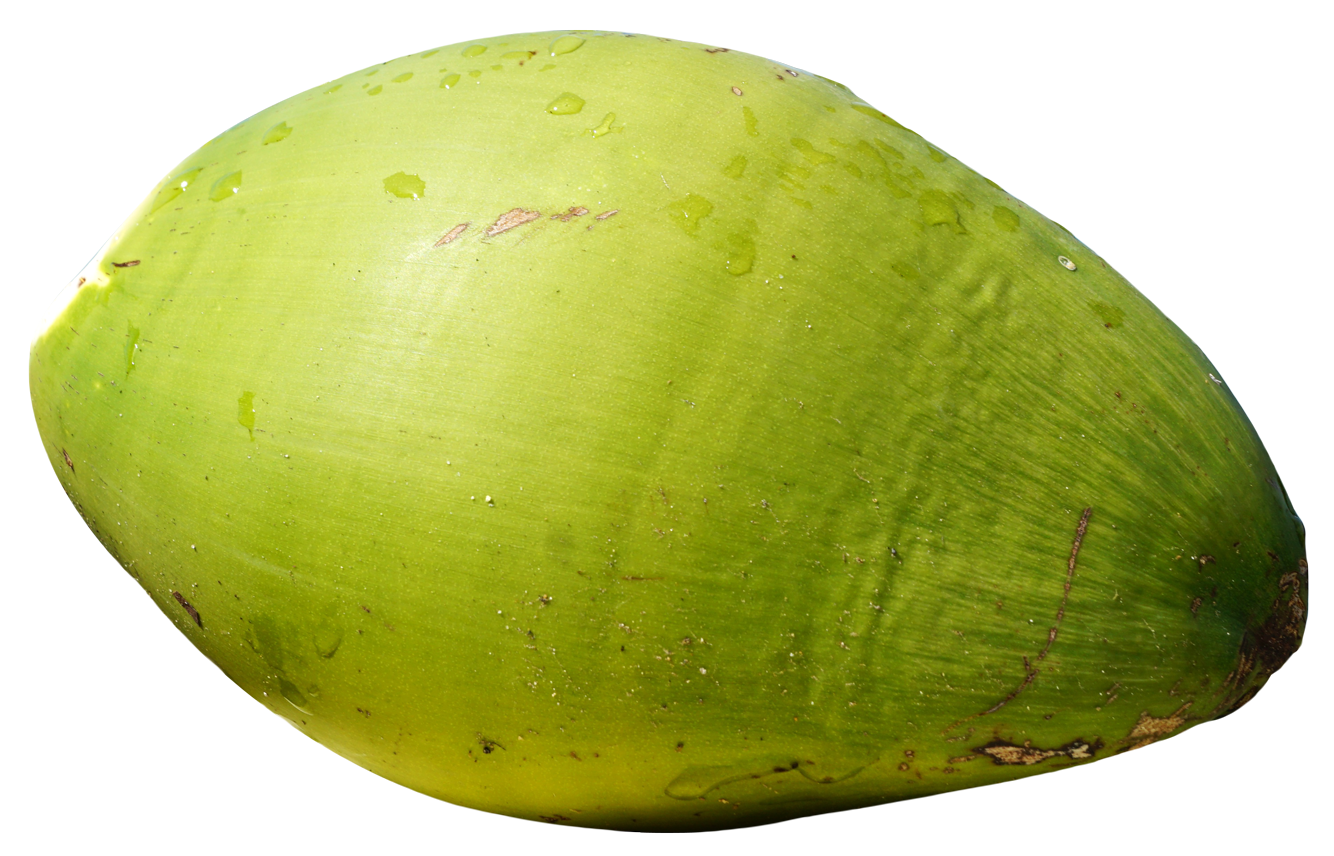 Fresh Coconut Green Transparent PNG Image