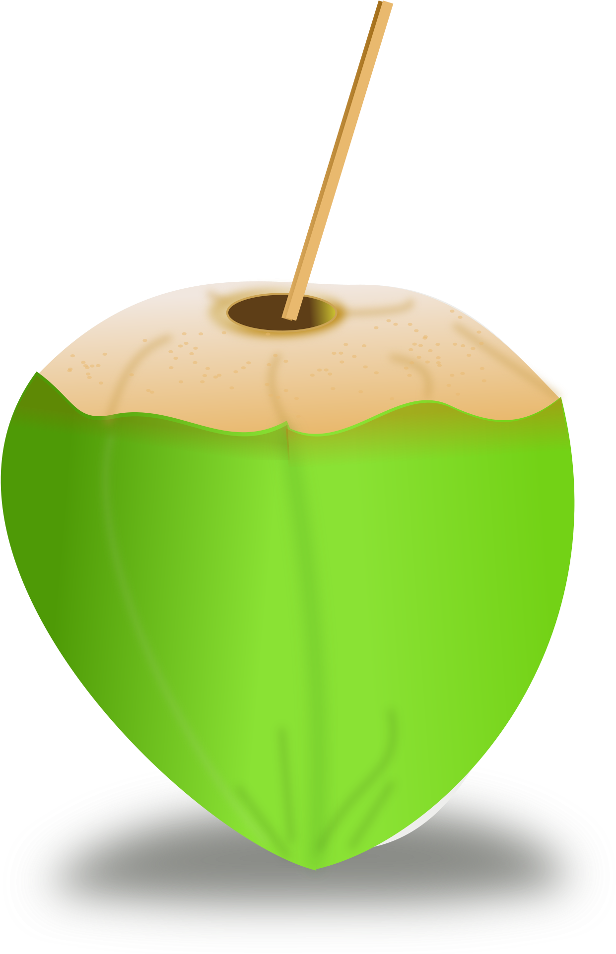 Coconut Green Transparent PNG Image
