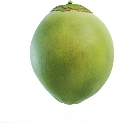 Green Coconut Organic Transparent PNG Image