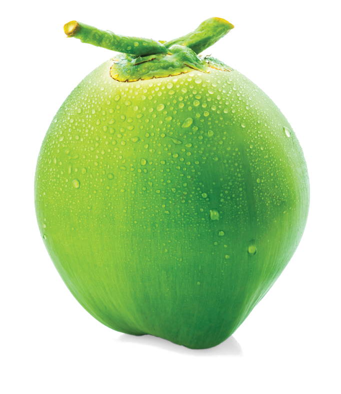 Green Coconut Organic Transparent PNG Image