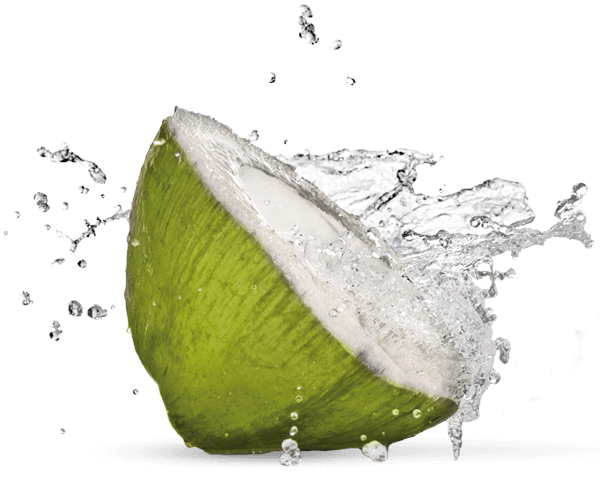 Green Coconut Organic Transparent PNG Image